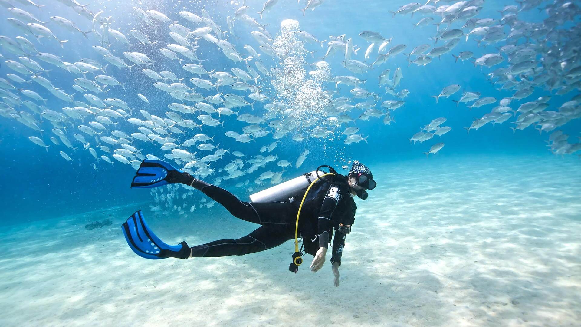 diving siracusa
