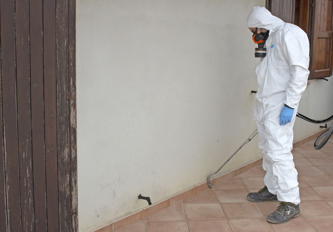 Disinfestazione Termiti Enna